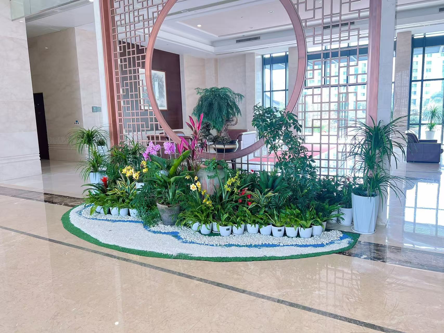 热词揭秘鄞州绿植出租价格，速来！